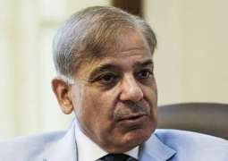 Shehbaz Sharif mobilizes PMLN workers in video message
