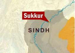 Anti Narcotics Force recovers 105 KG of Hashish from Sukkur