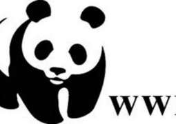 WWF-Pakistan encourages citizens to vote for environmental sustainability