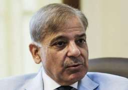Shehbaz Sharif wins from Lahore’s NA-132