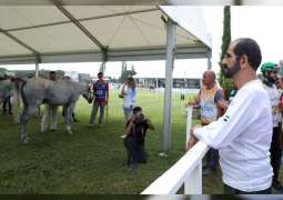 نائب رئيس الدولة يشهد مهرجان محمد بن راشد للقدرة في إيطاليا