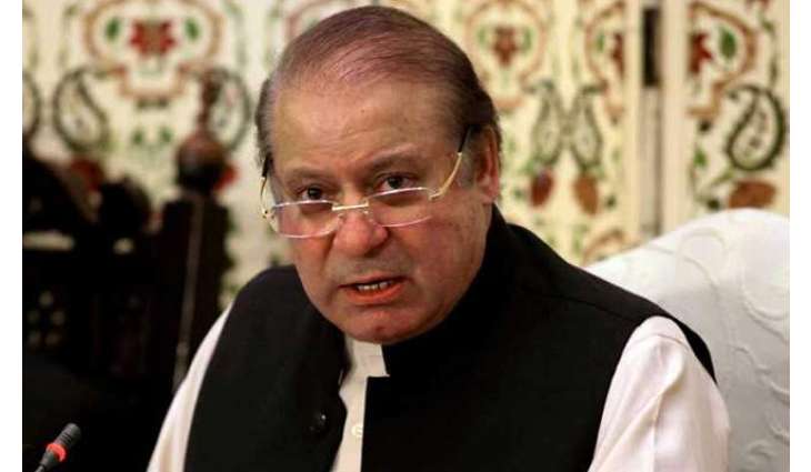 Shehbaz Sharif's little granddaughter comes out in family's support