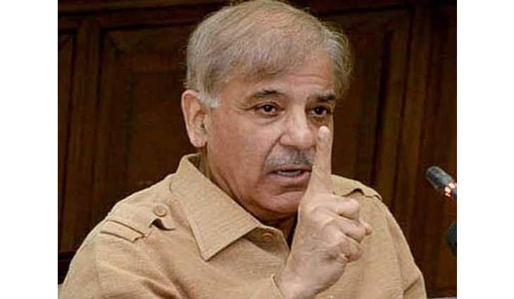 Shehbaz Sharif optimistic of PML-N's success despite all conspiracies against it