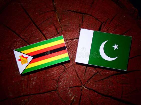 باكستان وزيمبابوي تتفقان على تعزيز التعاون بين قواتهما الجوية