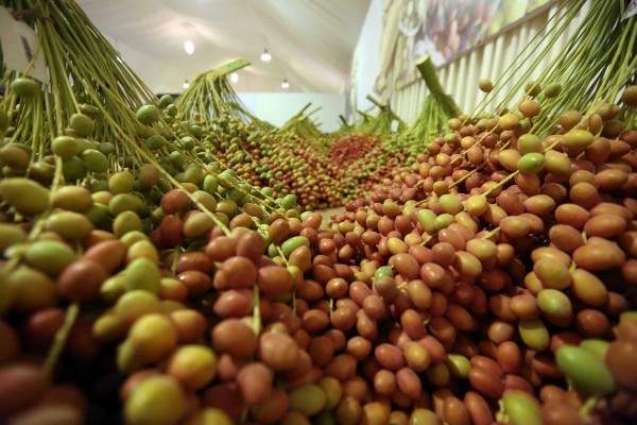 14th Liwa Date Festival to get underway on Wednesday