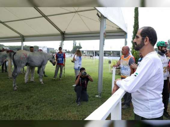 نائب رئيس الدولة يشهد مهرجان محمد بن راشد للقدرة في إيطاليا