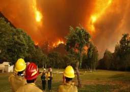 كاليفورنيا تستعين بأستراليا ونيوزيلندا لإطفاء حرائق الغابات 