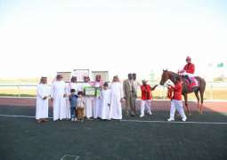 نادي الفروسية يقيم حفل سباقه الـ14 على كأس إمارة منطقة تبوك ضمن موسم سباقات الخيل للمصيف بالطائف