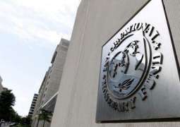 Ukrainian National Bank Hopes to Receive 5th IMF Credit Tranche in Fall - Deputy Governor