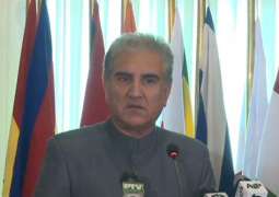 Shah Mehmood Qureshi vows a 'Pakistan First' foreign policy