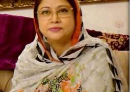 Faryal Talpur ready to pay $2 billion in compensation, claims journalist