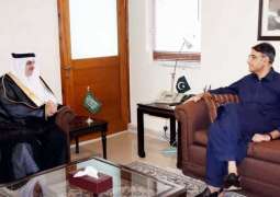 سفير خادم الحرمين الشريفين لدى باكستان يلتقي وزير المالية الباكستاني