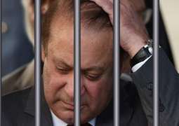 Nawaz Sharif to be released in October, claims Journalist