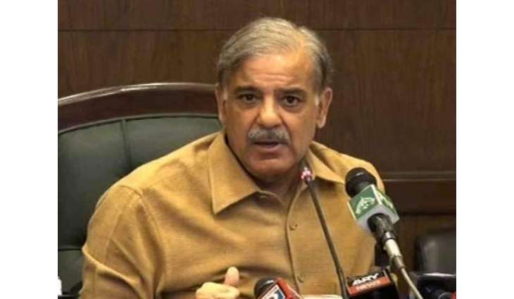 الیکشن وچ دھاندلی:شہباز شریف نے احتجاج دا اعلان کردتا
حلف چکن مگروں دھاندلی خلاف احتجاج کراں گے: شہباز شریف
