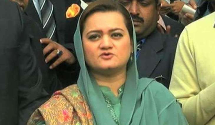 Marriyum Aurangzeb slams reporters over viral video