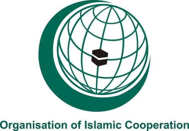OIC expresses understanding of Saudi Arabia's rejection of interferences in internal affairs