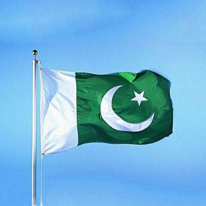 Ushna Shah explains Pakistani flag in the best way