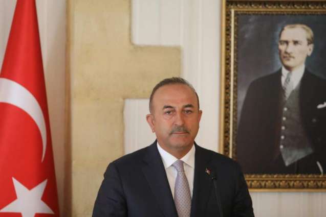 Cavusoglu Calls For Clear Separation of Radical Terrorists From Civilians in Syria's Idlib