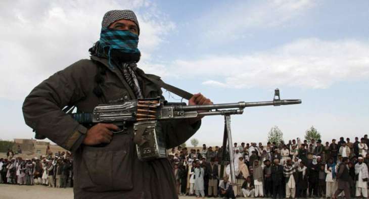 Afghan Forces, Taliban Engaged in Fighting in Ghazni Province - Reports