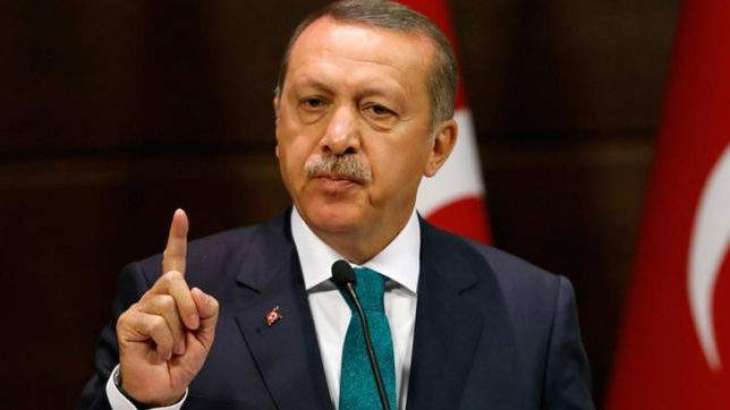 Turkey to Continue Counterterror Operations in Syria, Iraq - Erdogan