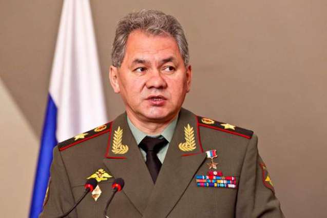 Sudden Combat Readiness Inspection Conducted in Russia's Northern Fleet - Defense Minister