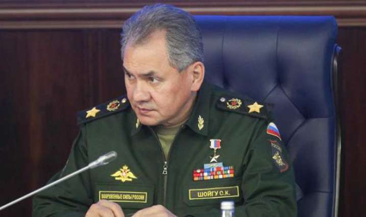 Russia to Share Terrorism Fight Experience With Egypt - Defense Minister