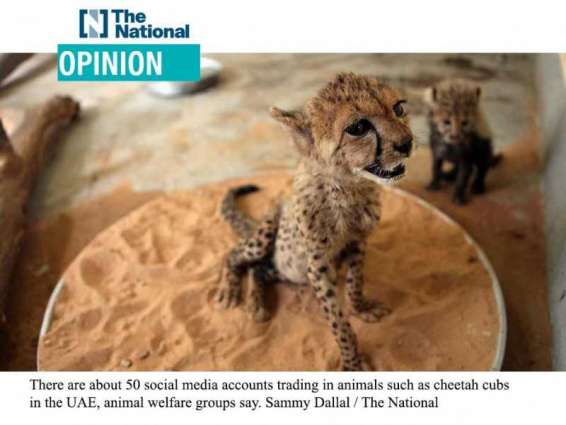 UAE Press: Selling illegal exotic pets endangers them and us