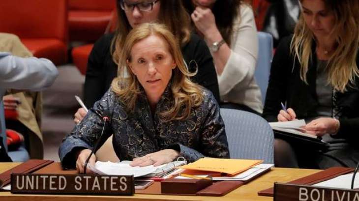 US, Allies to Respond to Any New Chemical Attacks by Syria's Assad - Representative to UN