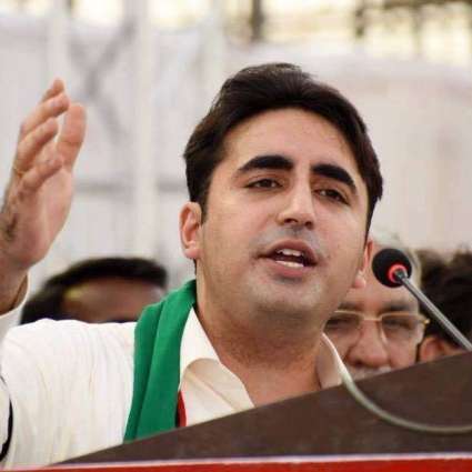PPP workers disappointed as job applications submitted to Bilawal Bhutto thrown in garbage