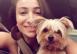 Anoushey Ashraf’s pet is missing and she has a reward for one who finds it