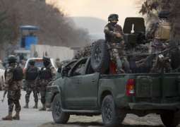 Afghan Forces Arrest 11 Members of Haqqani Terrorist Group - Reports