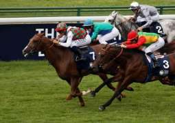 Churchill Downs Racetrack to host 8th leg of UAE President’s Cup for Arabian Horses