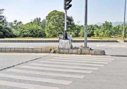 Following helmet rule, pedestrians bound to use zebra crossing