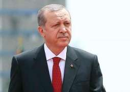  Erdogan's Bridge-Building Visit to Germany Comes Amid Lack of Enthusiasm to Help Ankara