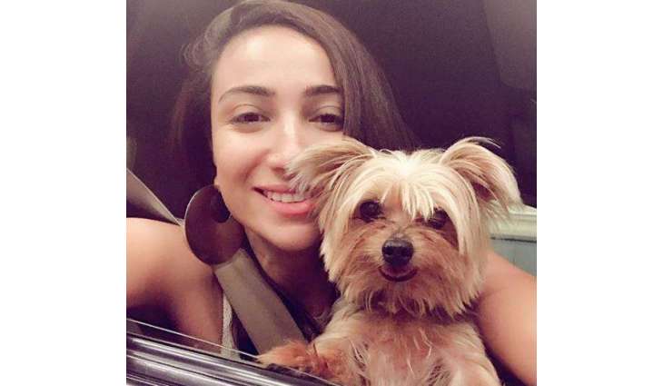 Anoushey Ashraf’s pet is missing and she has a reward for one who finds it