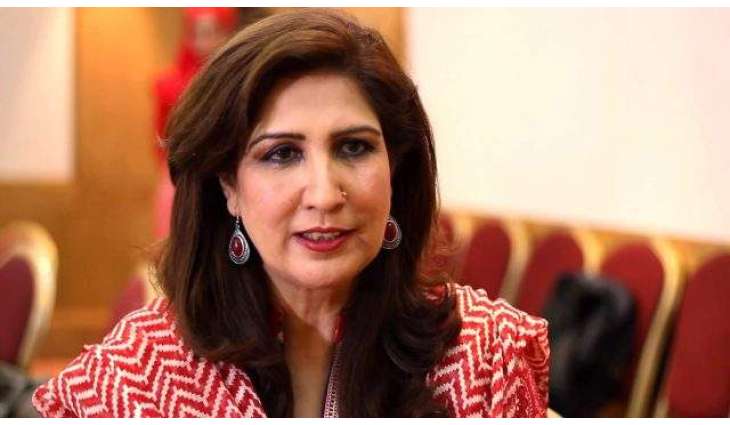 Shehla Raza injured in car accident