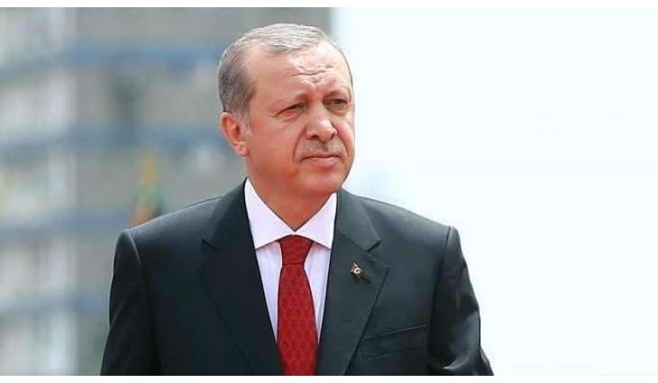  Erdogan's Bridge-Building Visit to Germany Comes Amid Lack of Enthusiasm to Help Ankara