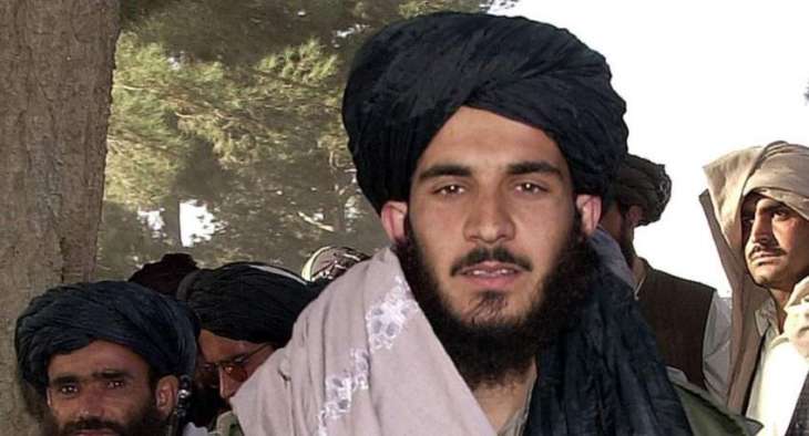 Taliban in Favor of Launching Direct Peace Talks With Afghan Government Without Mediators
