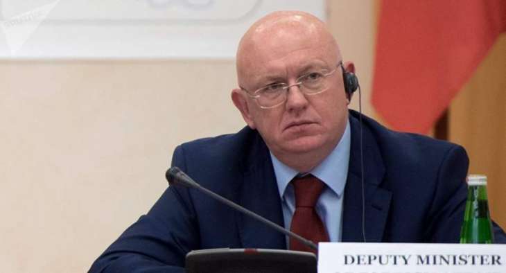 Russia Objects to UNSC's 'Destructive' Meddling in Nicaraguan Domestic Crisis - Nebenzia