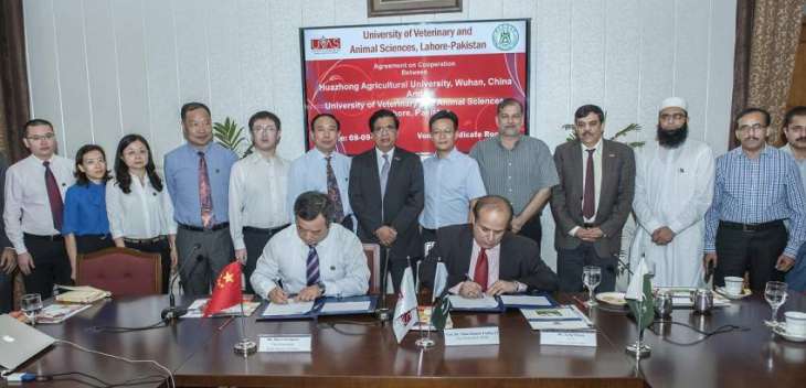 UVAS inks MOU with Huazhong Agricultural University Wuhan (HZAU) China to enhance scientific, educational and institutional linkages