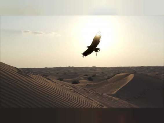 UAE marks International Vulture Awareness Day
