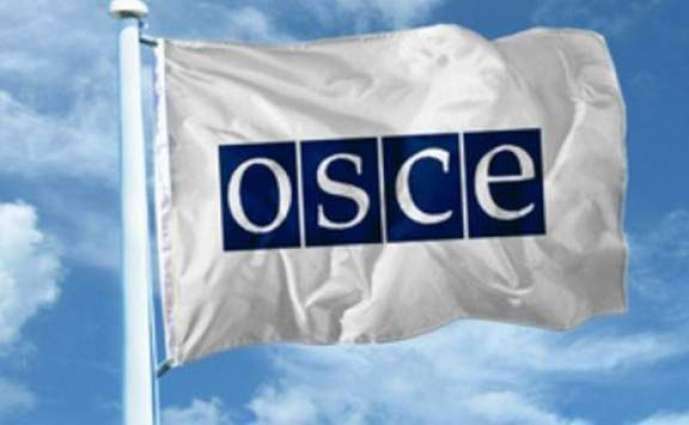 Russia Urges Canada at OSCE Meeting to Stop Supporting Ukrainian Nationalists