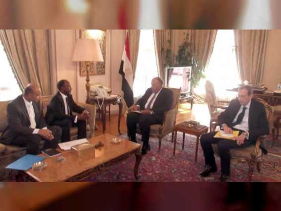 وزير الخارجية المصري يلتقي مدير عام اتحاد وكالات أنباء الدول الإسلامية