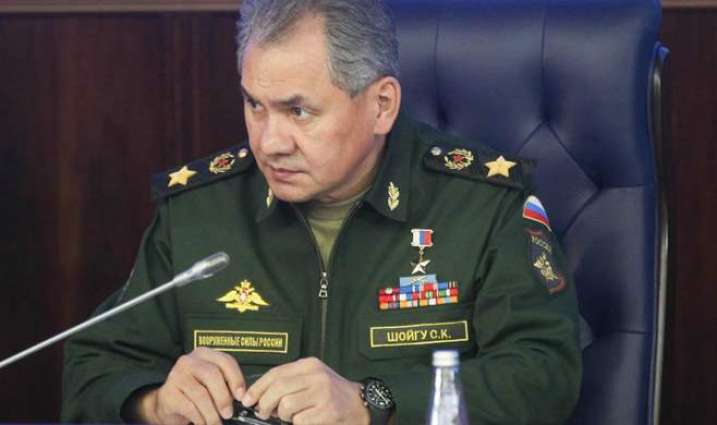 Shoigu, Parly Discuss Situation in Idlib De-escalation Zone in Phone Call