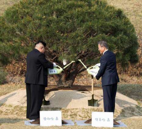 South Korean President Plants Tree in Pyongyang to Commemorate Visit