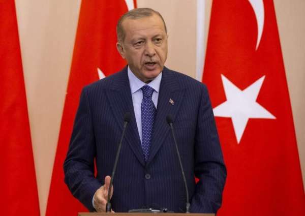 Turkey to Set Up Security Zone on Syrian Territory East of Euphrates - Erdogan