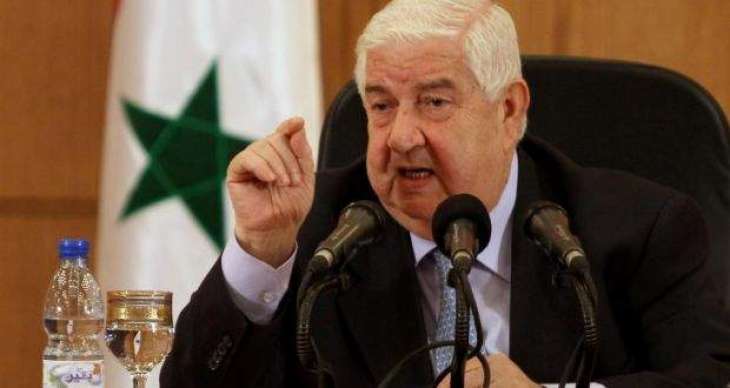Fight Against Terrorism in Syria Almost Over - Syrian Foreign Minister