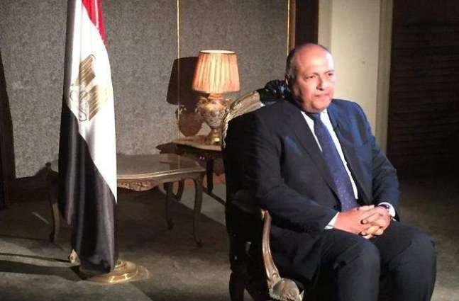 باكستان ومصر تتفقان على تعزيز العلاقات الثنائية