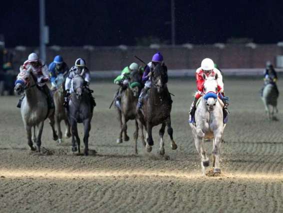 "كويك ساند" بطلاً للجولة الثامنة من كأس رئيس الدولة للخيول العربية الأصيلة