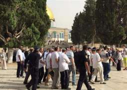 المستوطنون يصعدون من ممارساتهم الاستفزازية في القدس المحتلة